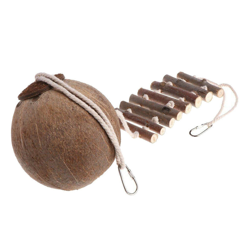 Natural Coconut Shell Pet Bird Nest Hut Cage Feeder for Parrot Parakeet