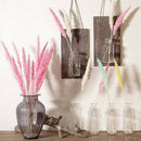 15Pcs/Set Natural Dried Pampas Grass Reed Home Wedding Flower Bunch Decor LY