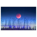 5D DIY Full Drill Diamond Painting Sunset Embroidery Mosaic Craft Kit Decor