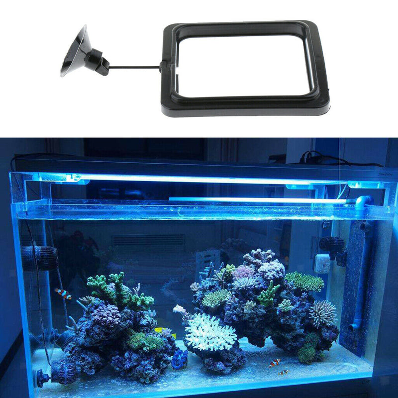 10x Aquarium Feeding Food Square Feeder With Suction Cup For Aquarium