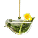 Bird Glass Vase Bottle Terrarium Hydroponic Container Pot Flower Diy Table  C2N8