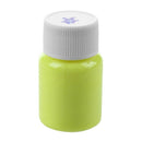 20g Glow in the Dark Acrylic Luminous Paint Bright Pigment Party Decoration