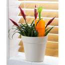 Self Automatic Watering Device Adjustable Sprayer Water Dripper Spike