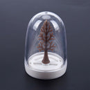 4pcs Kitchen Supplies Four Seasons Plant Spice Jar Creative Seasoning Bottl