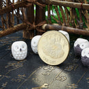 HOT 1pc Dog Shit Commemorative Coin Craft Collection gift