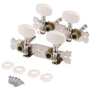 1Set Classical Guitar String Tuning Pegs Tuners Machine Heads Guitar OZ
