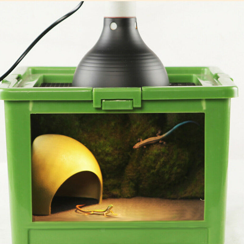 220V Reptile Halogen Bulb for Pet Coop Heater Chicken Lizard Turtle Brooder