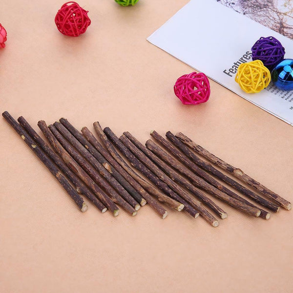 30pcs Natural Fruit Matatabi Cat Snacks Sticks Catnip Pet Cat Molar Rods