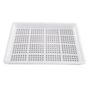 Seedling Starter Tray Garden Seed Starting Tray Gardening Planting Project