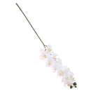 Artificial Floral 12 Head Orchid Phalaenopsis Flower Home Garden Decoration