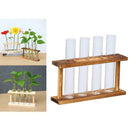 2x Crystal Glass 8 Test Tube Vase in Wooden Stand Flower Pots for Water Plant