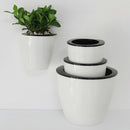 6-Packs Self Watering Hanging Planter Colorful Flower Pot for Home - S