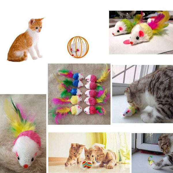 Kitten Toys Variety Pack, Cute Kitty Toys For Cats 20 Pieces - Cat Toys Set Q4R9