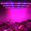 LED Grow light Full Spectrum Indoor Plant lamp T5 Tube Bulb Light For Plants: Cy
