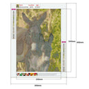 5D DIY Full Round Diamond Painting Donkey Rhinestones Cross Stitch (QF309) A