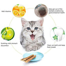 Cat Catnip Sticks Natural Matatabi Silvervine Sticks - Cleaning Teeth Molar S8Q6
