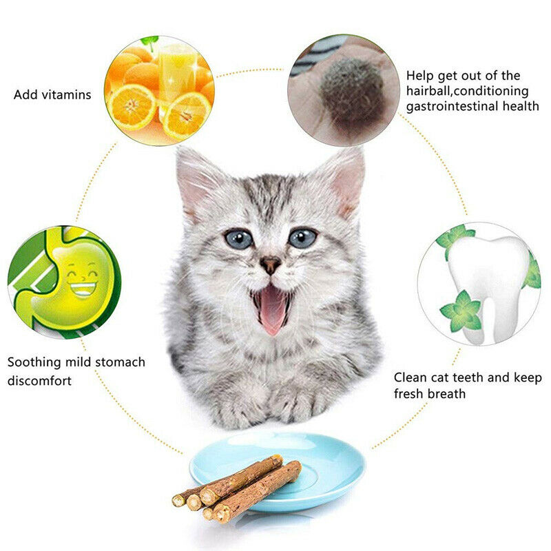 Cat Catnip Sticks Natural Matatabi Silvervine Sticks - Cleaning Teeth Molar S8Q6