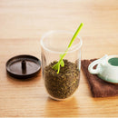 1X Jar Salt Shaker Spice Tea Coffee Sugar Storage Container With Spoon FAQ