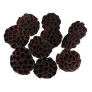 10pcs Natural Dried Lotus flowers decor flower arrangement Photoprop Photograph-