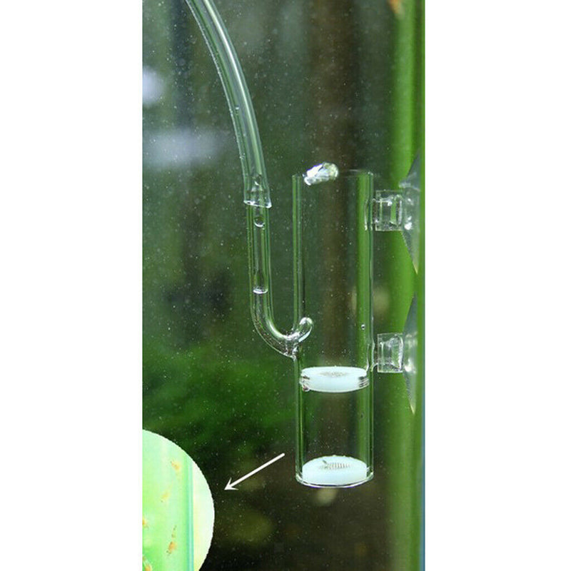 2Aquarium Glass Egg Tumbler Incubator For Hatching