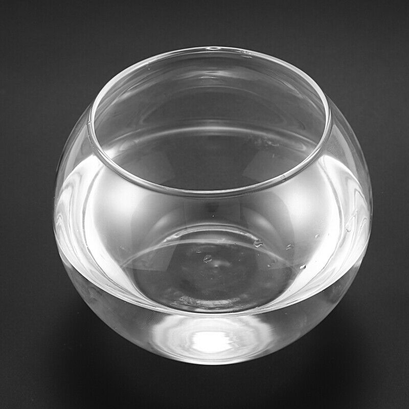 Round Sphere Vase in Transparent Glass Fish Tank I2P5