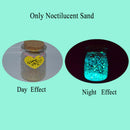 10g Luminous Noctilucent Sand Fish Tank Aquarium Fluorescent Particles Bottle