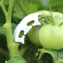 100pcs Tomato Plastic Fixed Clip Vine Strengthen Clamp Twigs Support Gar KNJ