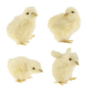 4 Pack Mini Cute Simulation Yellow Chicken Toys, Sound Plush Chicken Animal