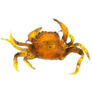 Fishing tackle Soft lure Artificial Crab Hook Yellow orange