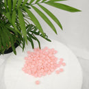 Professional 100Pcs Eyelash Extensions Volume Fan Glue Cups Sun Flower Tool