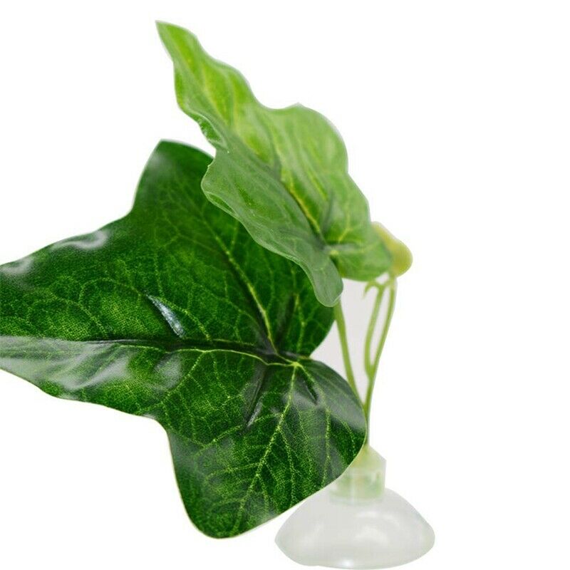 2 Pack Betta Fish Leaf Pad - Improves Betta'S Health By Simulating The NaturE4I5