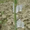 100PCS/Bag Grafting Clips Garden Nursery Flower Plant Grafting Gardening Tools