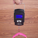 50kg LCD Backlight Electronic Scale Hanging Hook Luggage Weighing Steelyard A