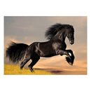 Run Horse 5D DIY Round Diamond Painting Embroidery Kits Needlework Mosaic