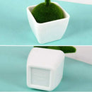 4pcs artificial flowers in pots Pine Emulate Bonsai Simulation Decorative F K6I1