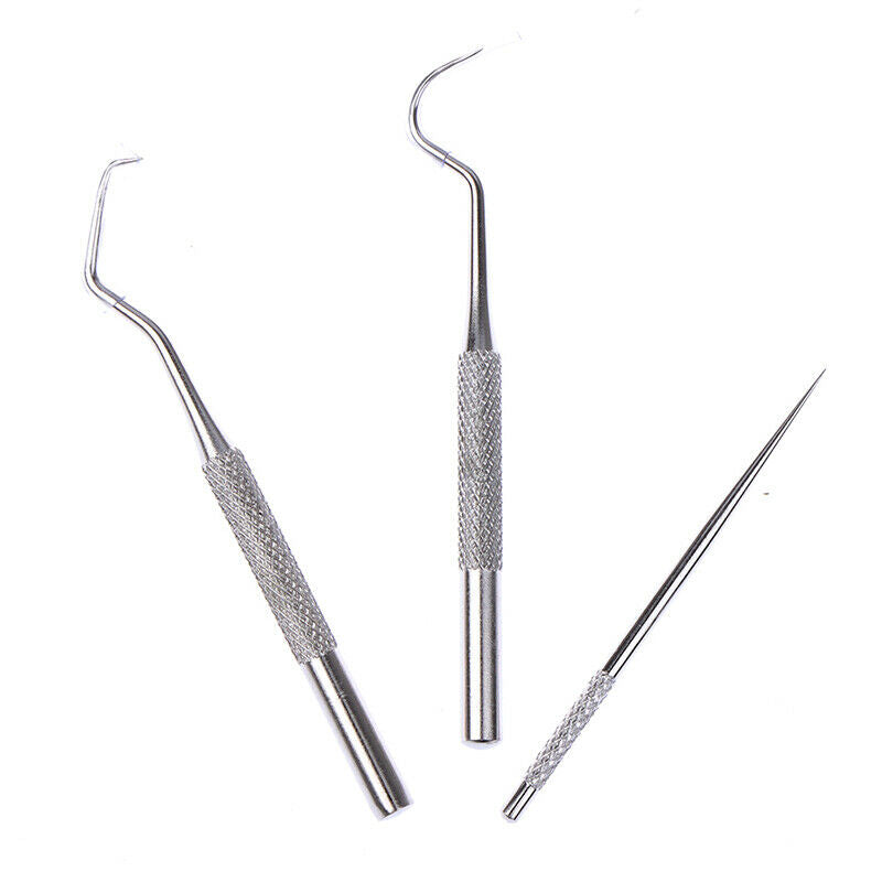 1 Set Stainless Steel Portable Toothpick Tooth Hook Teeth Clean Tool Dental  Hn
