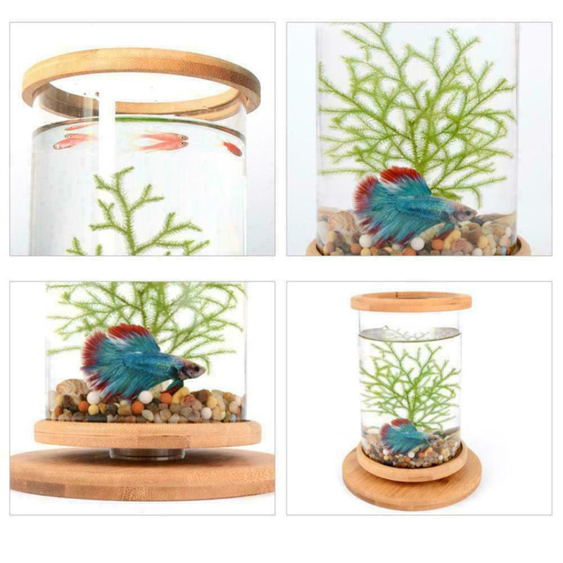 Glass Aquarium Bamboo Base Mini Fish Tank Decoration Fish Bowl Office Micro H6O6