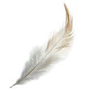 20 PCS Dyed Rooster Feathers for Decoration 10 -15 cm - brown W5H8