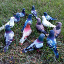 Set of 6 Doves Realistic Feathered Artificial Craft Birds Garden Yard Lawn Decor