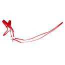 Bridle + Reins of Equestrian Sport Mounted for Horse