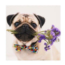 DIY 5D Dog Flower Diamond Embroidery Painting Cross Stitch Craft Home Decor