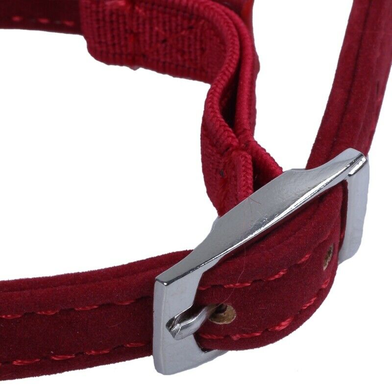 Heart charm and bell cat collar safety elastic adjustable with soft velvet