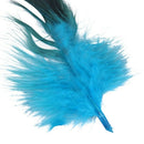 50 Beautiful cock feathers 12-18cm / 4-7inch blue K2S7