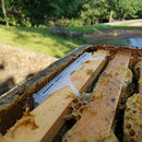 24 Packs Bee Hive Beetle Trap,Clear Plastic Reusable Beetle Blaster Trap fo