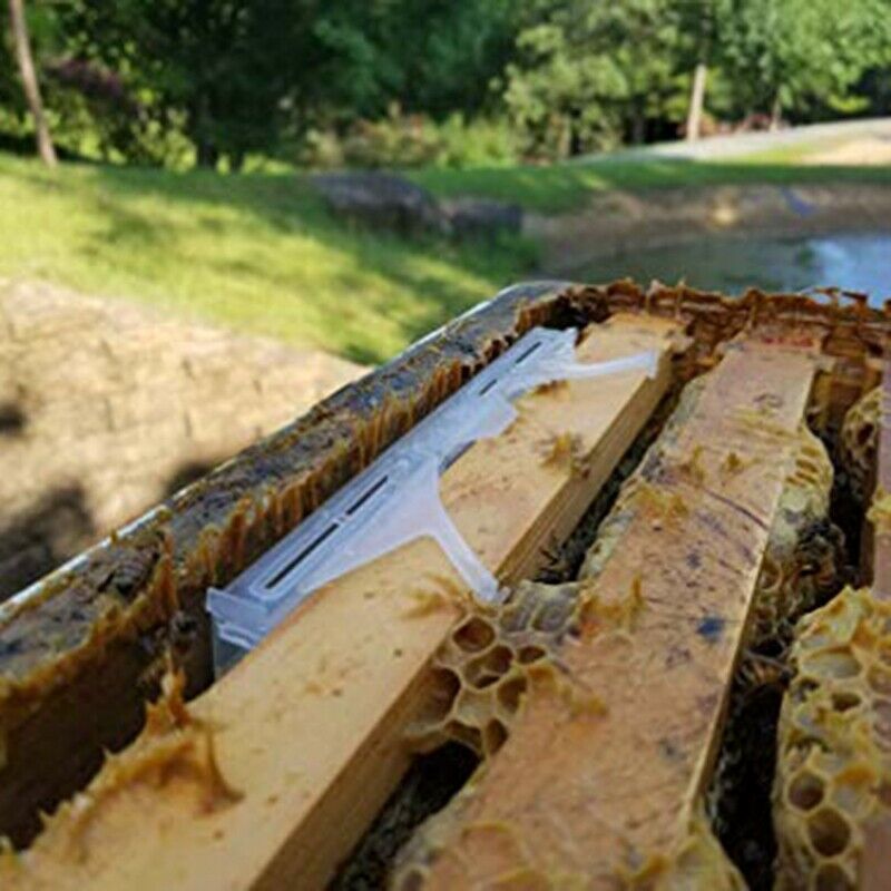 24 Packs Bee Hive Beetle Trap,Clear Plastic Reusable Beetle Blaster Trap fo