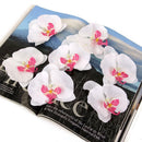 20Pcs Artificial Silk Butterfly Orchid Flower Heads Hair Decor Corsage DIY White