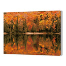 DIY Digital Oil Painting By Numbers Kits Autumn Woods Drawing Picture Art