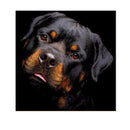 Full Drill Black Dog DIY Diamond Painting Embroidery Cross Crafts Stitch Kit
