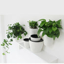 8 Pcs White Self-watering Flowerpot Lazy Flower Pot Wall Hanging Planter Vases