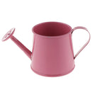 Nordic Style Watering Can Flower Barrel Mini Plant Irrigation Tool Pink